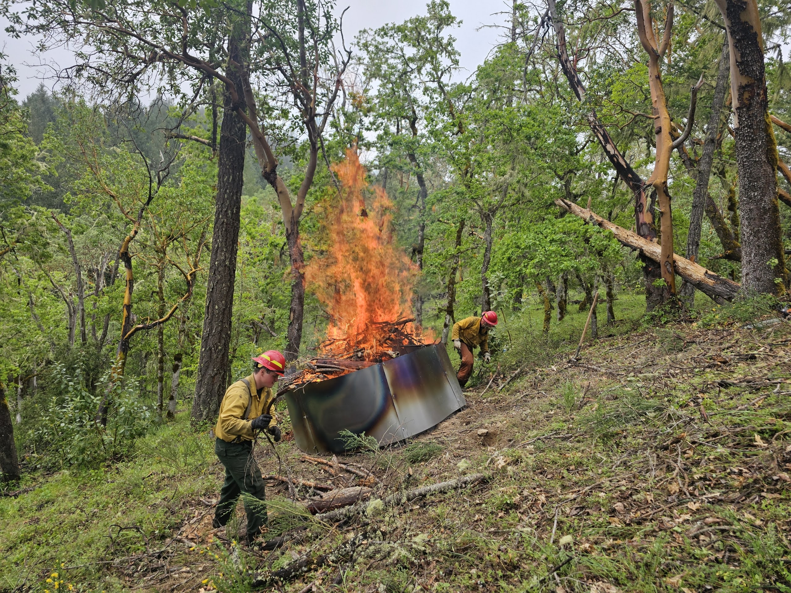 Trail crews clearing slash with ring of fire hillside